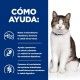 hills-feline-biome-stress-gastrointestinal-fibre-care-prescription-diet-como-ayuda