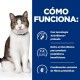 hills-feline-biome-stress-gastrointestinal-fibre-care-prescription-diet-como-funciona