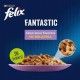 felix-fantastic-festin-en-gelatina-varios-sabores-sobrepouch-4x85-g