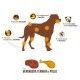 snack-5-rollos-de-colageno-con-ternera-o-pollo-125-cm-chewllagen