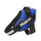 liquidacion-arnes-julius-k9-idc-varias-tallas-y-colores