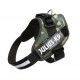liquidacion-arnes-julius-k9-idc-varias-tallas-y-colores
