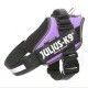 liquidacion-arnes-julius-k9-idc-varias-tallas-y-colores