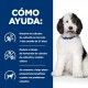 hills-canine-cd-urinary-care-prescription-diet-lata-estofado-354-g-como-ayuda
