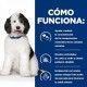 hills-canine-cd-urinary-care-prescription-diet-lata-estofado-354-g-como-funciona