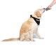 yogur-yowup-lcasei-pavo-para-perros-115-g