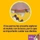 dentastix-5-10-kg-mega-pack-limpiador-dental-pedigree-caja-56-sticks-informacion-04