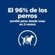 hills-canine-metabolic-lata-prescription-diet