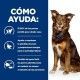 hills-canine-metabolic-lata-prescription-diet