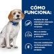 hills-canine-zd-food-sensitivities-low-fat-prescription-diet-como-funciona