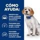 hills-canine-zd-food-sensitivities-low-fat-prescription-diet-como-ayuda