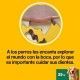 dentastix-25-kg-raza-grande-limpiador-dental-pedigree-varios-tamanos-detalles-04