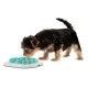 comedero-lento-enigma-11-medium-savic-para-perros-y-gatos-perro