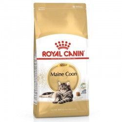 Royal Canin Gatos MAINE COON Adult