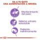royal-canin-gatos-sterilised-pouch-en-salsa-85-g-beneficios