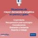 nutri-plus-gel-suplemento-energetico-virbac-para-perros-y-gatos-120-g