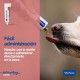 nutri-plus-gel-suplemento-energetico-virbac-para-perros-y-gatos-120-g