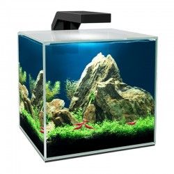 acuario-ciano-cube-5-led-con-tapadera-filtro-ciano-cf20