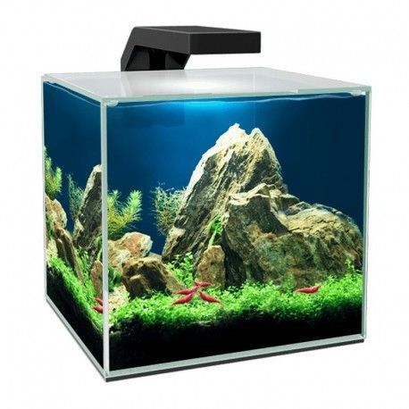 acuario-ciano-cube-5-led-con-tapadera-filtro-ciano-cf20