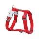 arnes-red-dingo-clasico-cierre-hueso-nailon-colores-lisos-varias-tallas