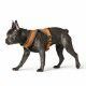 arnes-hunter-london-comfort-acholchado-polar-varias-tallas-perro-02
