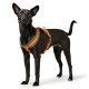 arnes-hunter-london-comfort-acholchado-polar-varias-tallas-perro-01
