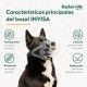 bozal-baskerville-invisa-varias-tallas-caracteristicas