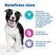 hills-vet-essentials-dental-medium-large-breed-con-pollo-multi-benefit