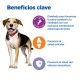 hills-vet-essentials-senior-health-medium-large-breed-7-con-pollo-multi-benefit