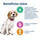 hills-vet-essentials-neutered-medium-weight-adult-con-pollo-multi-benefit