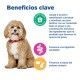 hills-vet-essentials-neutered-small-mini-weight-adult-con-pollo-multi-benefit