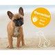 champu-dermatologico-dermitol-con-aloe-vera-para-perros-250-ml