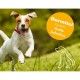 champu-dermatologico-dermitol-con-aloe-vera-para-perros-250-ml