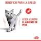 royal-canin-gatos-light-weight-care