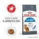 royal-canin-gatos-light-weight-care