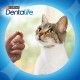 snacks-dentalife-gato-con-salmon-daily-oral-care-treats-40-g-02