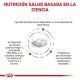 royal-canin-gatos-gastrointestinal-hairball-veterinary