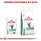 royal-canin-gatos-diabetic-pouch-en-salsa-85-g-dietas