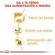 royal-canin-perros-chihuahua-pouch-pate-85-g