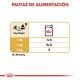 royal-canin-perros-chihuahua-pouch-pate-85-g