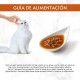 purina-gourmet-soup-royale-sopa-con-salmon-45-g