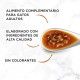 purina-gourmet-soup-royale-sopa-con-salmon-45-g