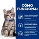 hills-feline-id-digestive-care-kitten-sobre-con-pollo-prescription-diet-como-funciona