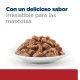 hills-feline-id-digestive-care-kitten-sobre-con-pollo-prescription-diet-textura