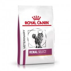 Royal Canin Gatos RENAL SELECT Dietas