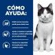 hills-feline-jd-metabolic-mobility-prescription-diet