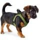 arnes-hilo-hunter-comfort