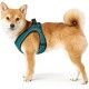 arnes-hilo-hunter-comfort