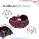 collar-anatomy-halti-varios-colores-y-tallas