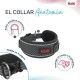collar-anatomy-halti-varios-colores-y-tallas